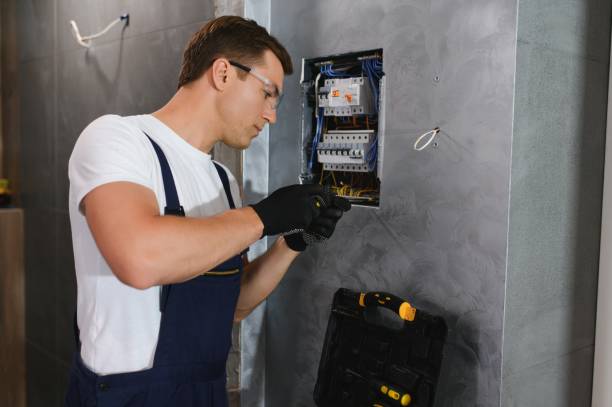 Best Electric Panel Repair  in Orange, VA